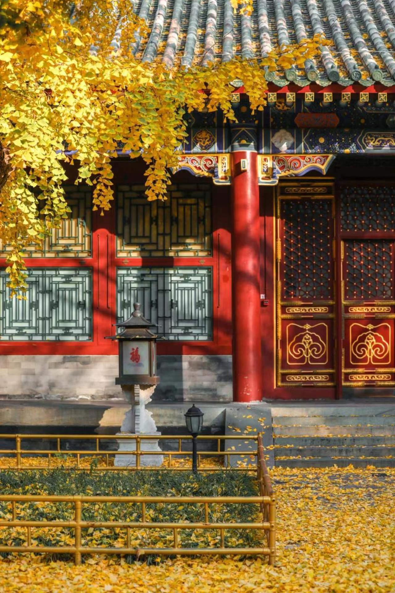 Nostalgia Hotel Near Prince Gong'S Mansion- Beihai Park, Tian'Anmen Square, Nanluoguxiang Hutong, Huguosi Hutong Snack Street, 5 Minutes Walk Away From Ping'Anli Subway Station, Free Ice Cream And Laundry Service,English Communication Well Peking Kültér fotó